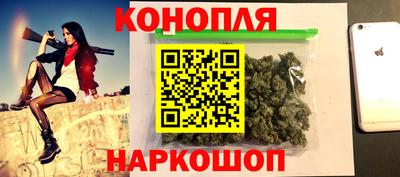 индика Гусев