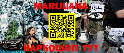 индика Гусев