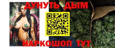 индика Гусев
