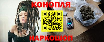 индика Гусев