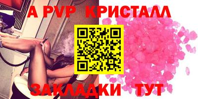 индика Гусев