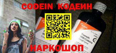индика Гусев