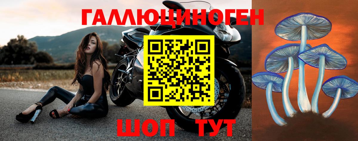 Галлюциногенные грибы мухоморы Буйнакск
