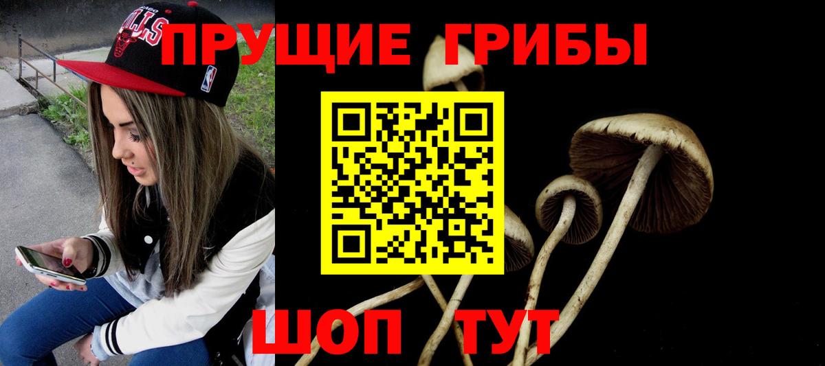 Буйнакск  Галлюциногенные грибы мухоморы  Вход с VPN  Галлюциногенные грибы прущие грибы 